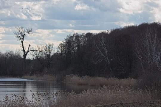 Ponds of Raszyn