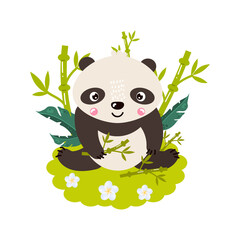 The baby panda sits on the lawn in the middle of bamboo and leaves.