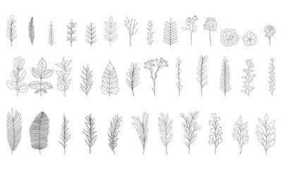 A set of 37 hand-drawn twigs with leaves. Doodle style. Botanical, plant elements for design of postcards, invitations, creating patterned brushes. Isolated on white. Black-white vector illustration.