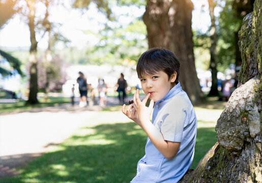 High Key Protrait Happy Boy Eatting Chocolate Cake Siting In The Park, Kid Looking At Camera With Smiling Face Whie Eating Walnut Brownie, Healhty Child Sitting Under Big Tree Enjoy Picinic Dessert