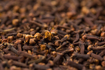 Dried carnation on black background
