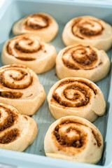 Cinnamon rolls