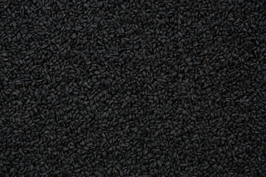 Black cumin seeds close up in studio