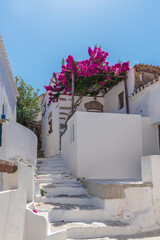Cycladitic alley with traditional stairs,  whitewashed houses and a blooming bougainvillea in Chora kythnos, cyclades, Greece.