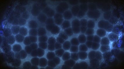 Bacteria Cells Cinematic Illustration
