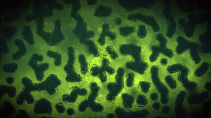 Bacteria Cells Cinematic Illustration
