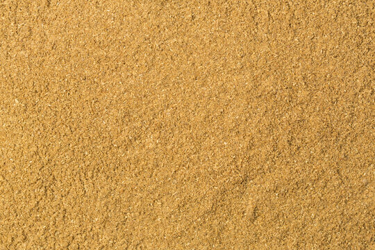 Coriander powder 
