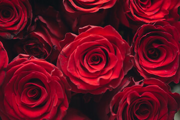 A huge beautiful bouquet for the anniversary of 1000 flowers of roses. Delivery.