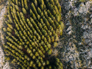 Aerial landscape photography. Sierra del Rincon, Madrid. Picturesque morning view from flying drone. Traveling concept background.
