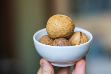 Heap, pile of whole walnuts in a round-shaped shell lie in a small white plate in man's hand on a blurred bokeh background