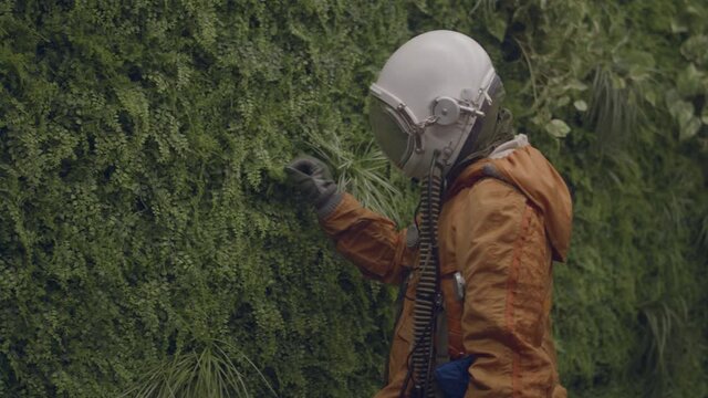 Adorable spaceman on earth investigating nature. Sci fi scene