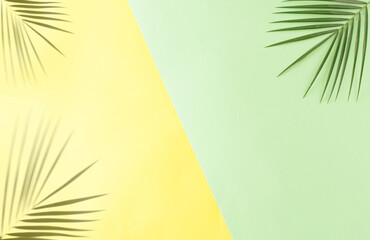 Tropical palm leaf and shadow over yellow and green paper background. Overhead Summer theme  copy...