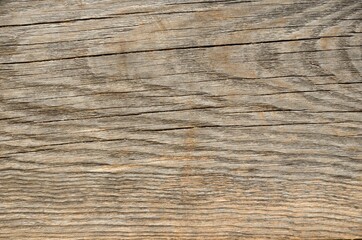 Old wood board. Abstract background