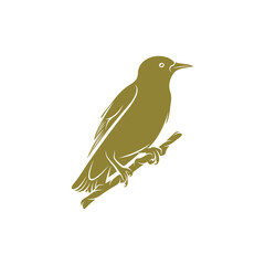 Starling bird design vector illustration, Creative Starling bird logo design concept template, symbols icons