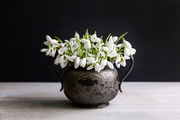 Bouquet of white snowdrops Galanthus nivalis in vintage retro jar on dark background