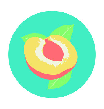 Peach Colored Vector Icon