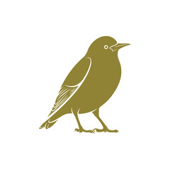 Starling bird design vector illustration, Creative Starling bird logo design concept template, symbols icons