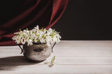 Bouquet of white snowdrops Galanthus nivalis in a vintage retro jar on a dark tones with red fabric on the background