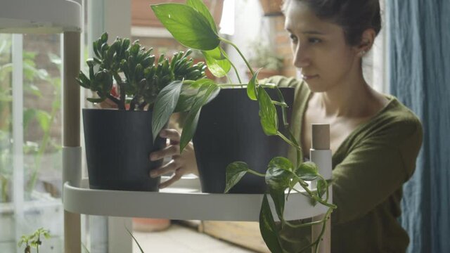 Woman watering pot in shelf inside the house
