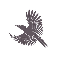 Obraz premium Woodpecker bird design vector illustration, Creative Woodpecker bird logo design concept template, symbols icons