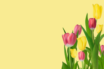Bouquet of beautiful spring flowers tulips on a yellow background. Place for your text.