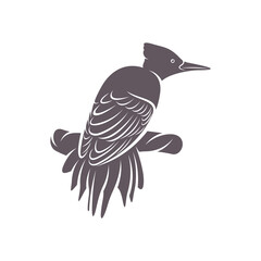 Woodpecker bird design vector illustration, Creative Woodpecker bird logo design concept template, symbols icons