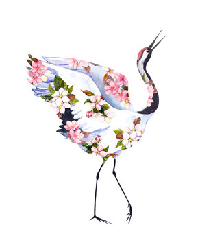 Crane bird in flowers. Water color illustration