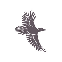 Woodpecker bird design vector illustration, Creative Woodpecker bird logo design concept template, symbols icons