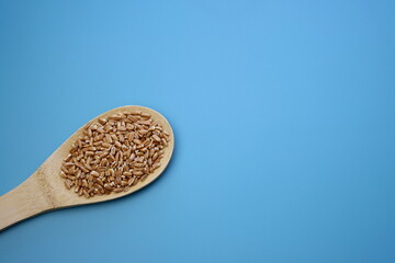 Spelled groats in a wooden spoon on a blue background.