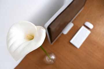 Workplace in a minimalistic style. Monitor, keyboard and mouse on a wooden table next to a home flower and calla lilies. Copy space. .