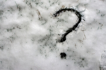 A question mark in the snow.