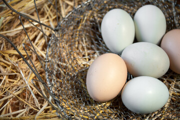 Fresh farm eggs in metal basket