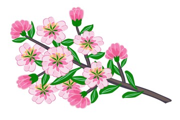 Sakura. Branch with pink buds, flowers and green leaves on a white background for textiles, tiles, porcelain, paper