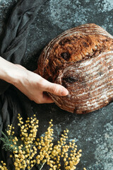 Male hands hold homemade bread on dark background. Bread with nuts and candied fruits.