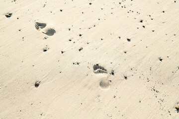 Fußabdrücke im Sand am Strand bei strahlendem Sonnenschein