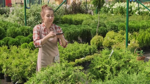 Medium shot of young caucasian female gardener using smartphone while working in yard, taking pictures of beautiful green plants under sunlight