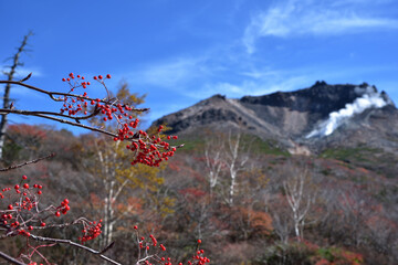 姥ヶ平から見る那須岳
