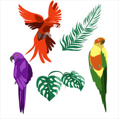 Colorful tropical parrots and palm leaves
