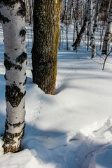 210308 Этнографический музей Тальцы Россия Taltsy Ethnographic Museum Russia