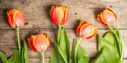 Festive bouquet of fresh tulips on vintage wooden table