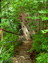 A dilapidated wooden bridge in the forest, the recreation route 