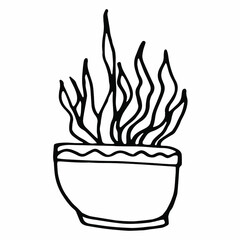Hand drawn of houseplants isolated on white background. Decorative indoor and office plants in pot.Vector doodle plant illustration.