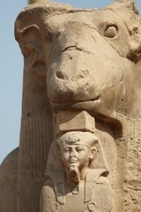 Fototapeta premium Luxor, Egypt: Ancient Temples and Sculptures