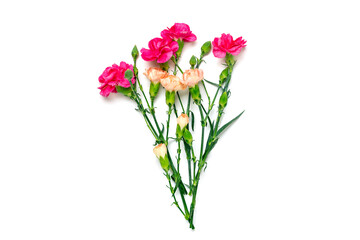 Naklejka na ściany i meble bouquet of pink carnation flower isolated on white background Top view Flat lay Holiday card 8 March, Happy Valentine's day, Mother's, Memorial, Teacher's day concept Copy space 