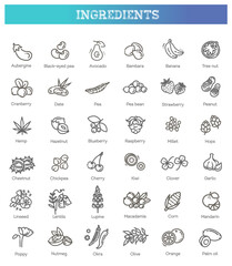 Vegetables and fruit thin line icon set. Vector ingredients