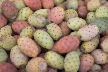 Fresh produce in farmers market