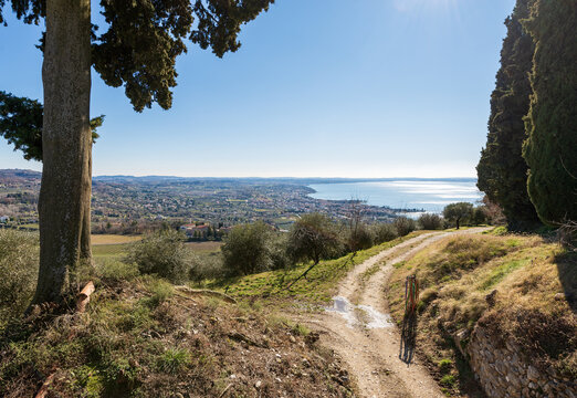 Aerial view of the Lake Garda (Lago di Garda) with the small villages of Bardolino, Cisano and Lazise, view from the Rocca di Garda, small hill overlooking the lake. Verona province, Veneto, Italy, Eu