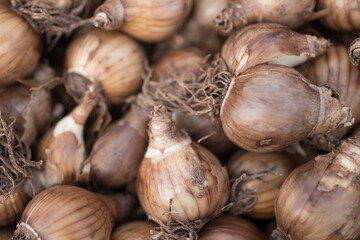 Fresh produce in farmers market