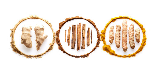 Circle of spices turmeric ginger and cinnamon on white background