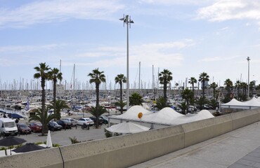 Marina i palmy w Barcelonie.